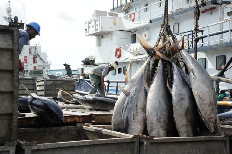 Pêche maritime