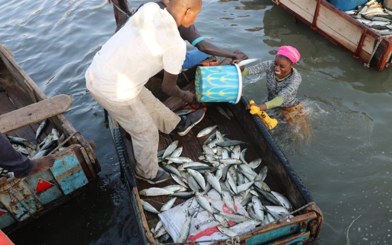 Journée mondiale des pêcheurs