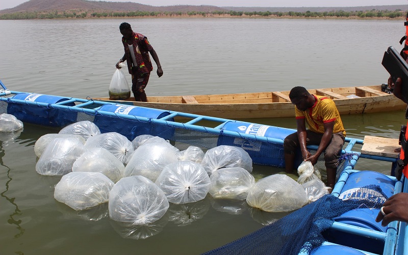 Offensive agropastorale et halieutique 2023-2025 Burkina