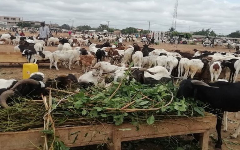 Abattoir de Port-Bouët