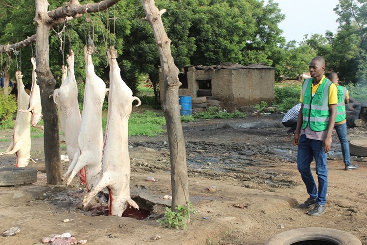 Abattages clandestins Burkina