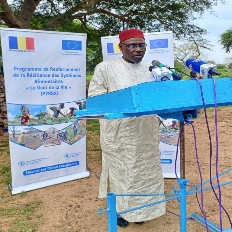 Résilience des Systèmes Alimentaires Tchad