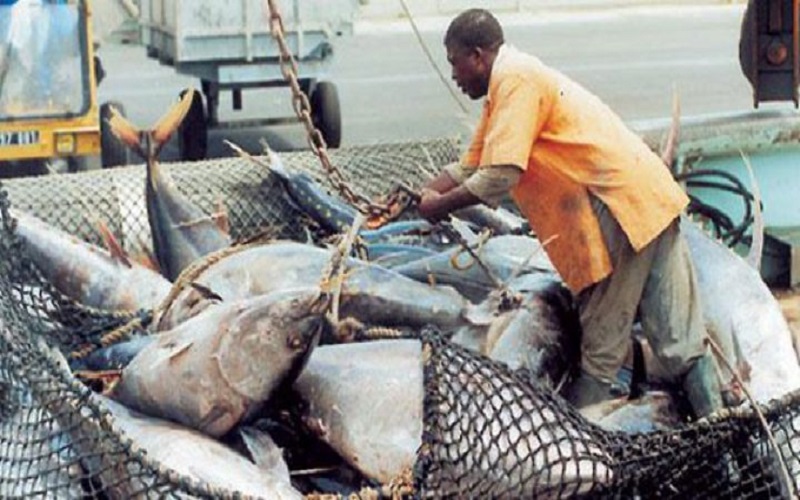 Secteur halieutique Côte d’Ivoire