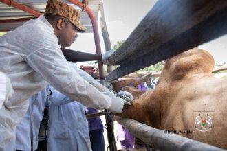 Maladies animales prioritaires