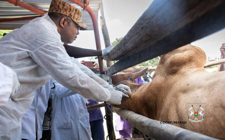 Maladies animales prioritaires