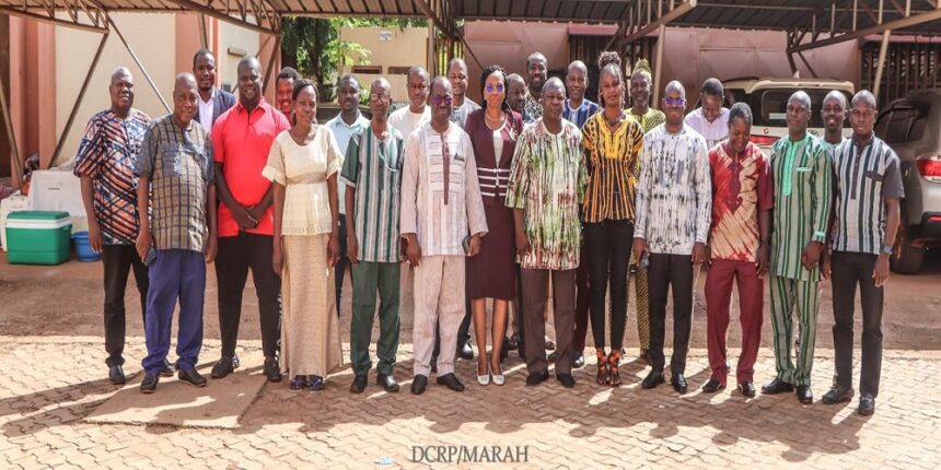 Trypanosomose animale africaine