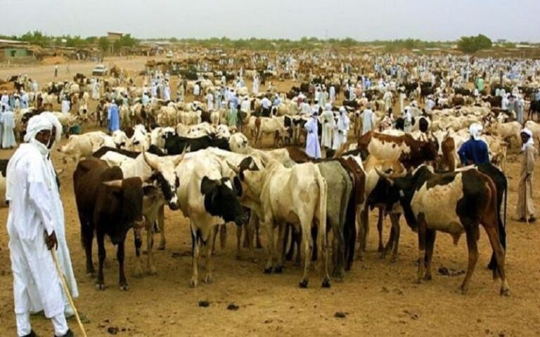 Bétail-viande Tchad