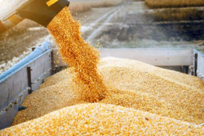 Alimentation animale Algérie