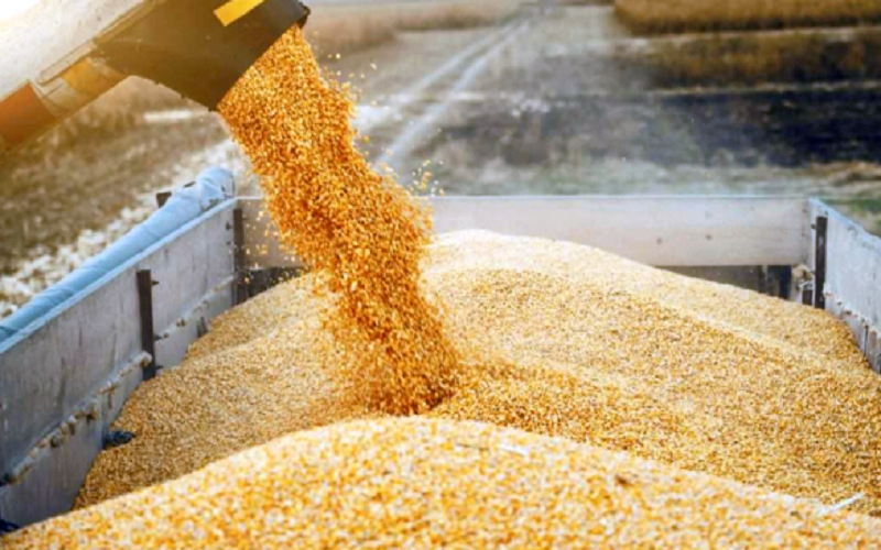 Alimentation animale Algérie