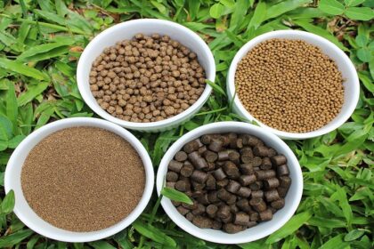 Aquaculture en Algérie