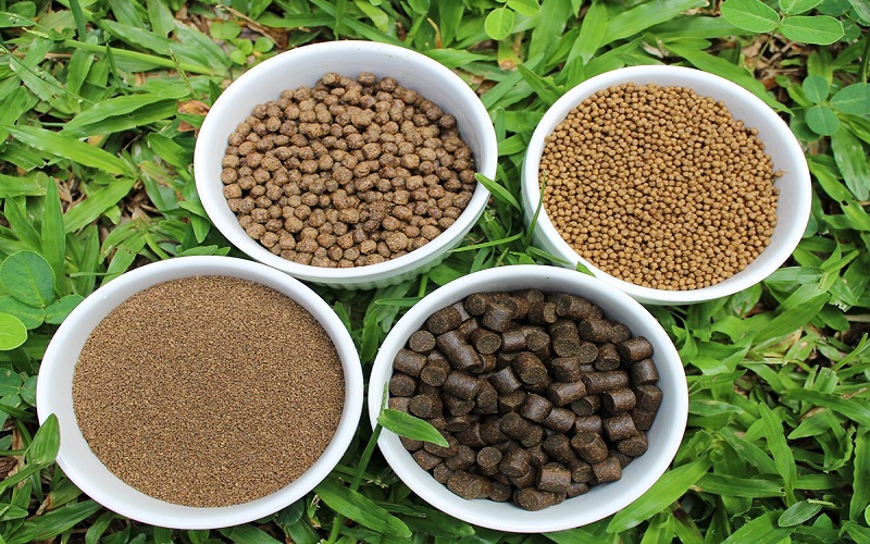 Aquaculture en Algérie