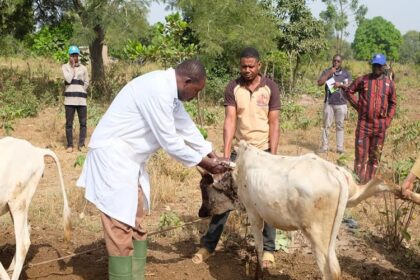 Maladies animales prioritaires Burkina