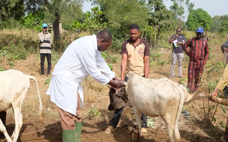 Maladies animales prioritaires Burkina