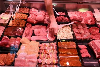 Production animale Maroc