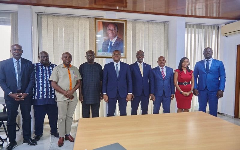 Santé animale en Afrique