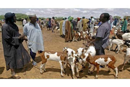 Agropastoralisme en Afrique de l’ouest