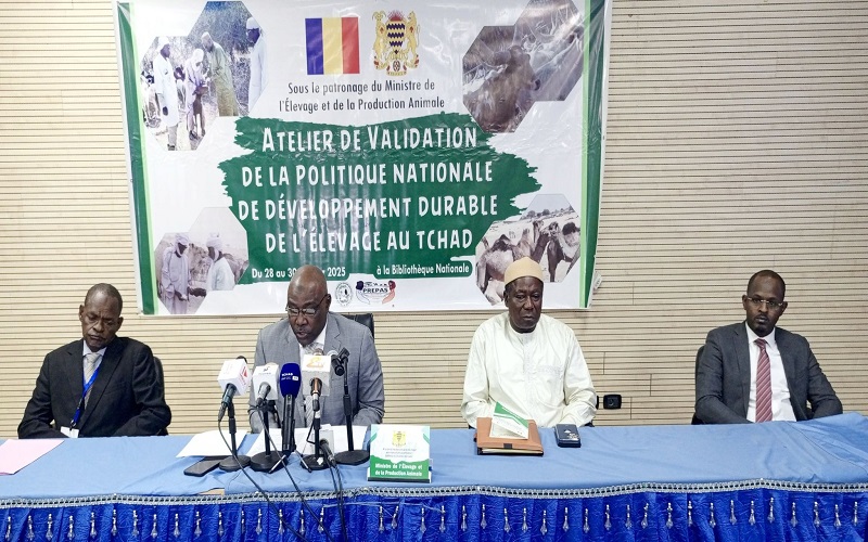 Développement Durable Elevage Tchad