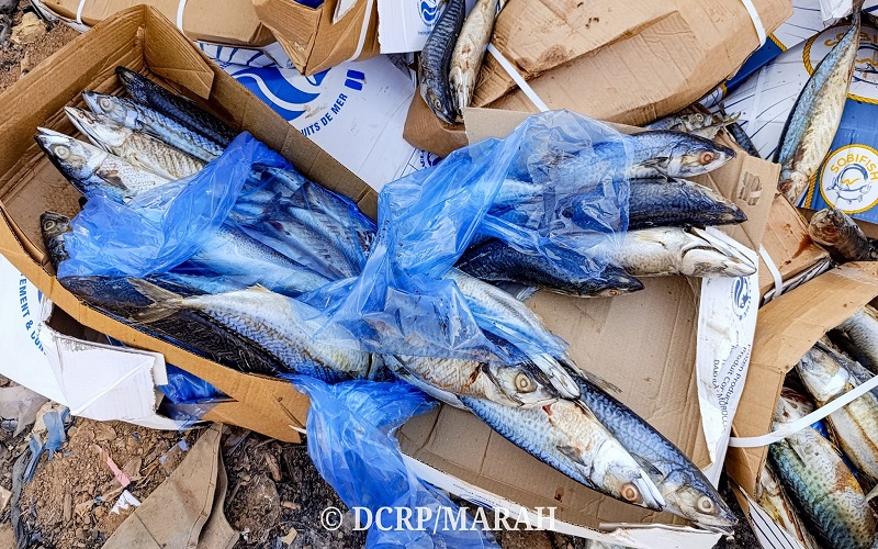 Produits d’origine animale Burkina