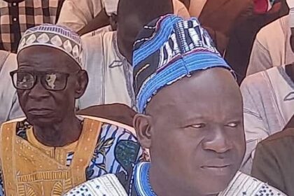 Bétail demandeurs d’asile