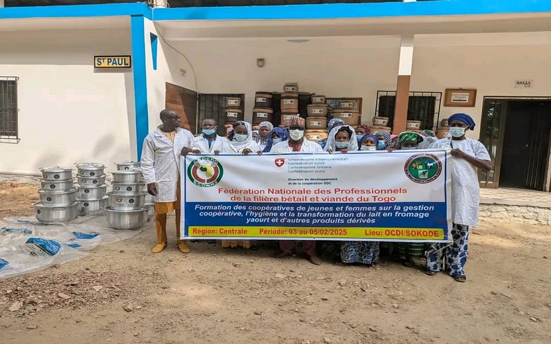 Filière Bétail Viande Togo