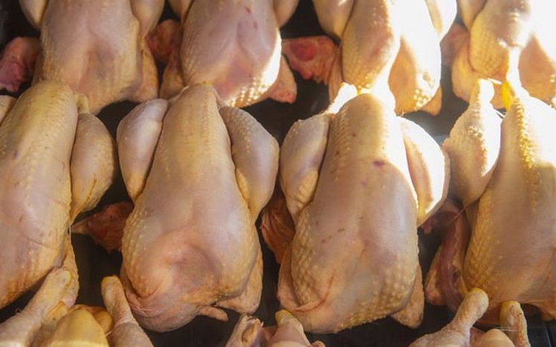 Viande de volaille Bénin