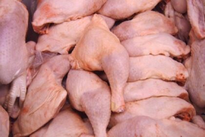 Viandes congelées Bénin