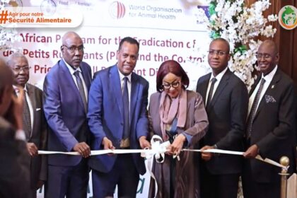 éradication Peste Petits Ruminants