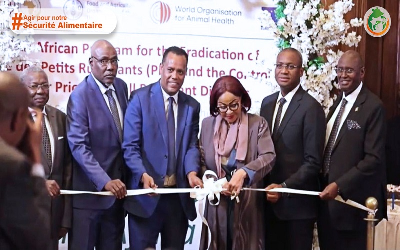 éradication Peste Petits Ruminants