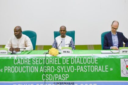 Agropastoralisme Burkina