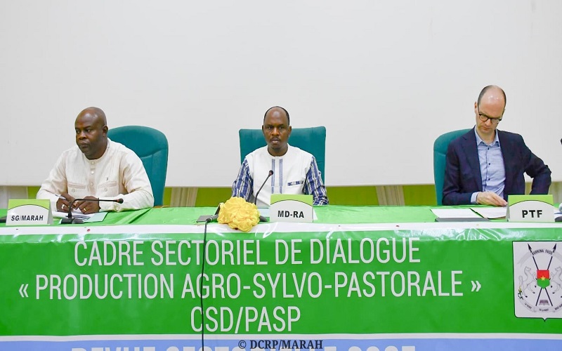 Agropastoralisme Burkina