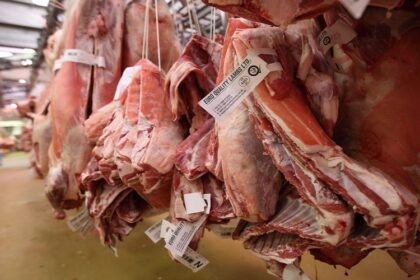 Filière viande Arabie Saoudite