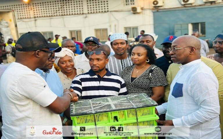 Grippe aviaire Guinée