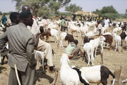 Marchés de bétail Nigéria