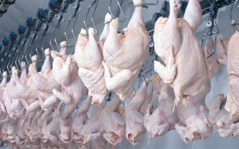 Poulets congelés Bénin