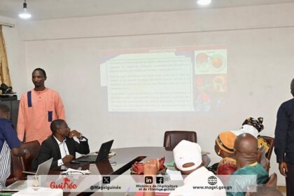 Production animale Guinée