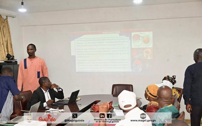 Production animale Guinée