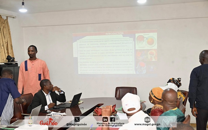 Production animale Guinée