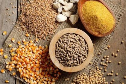 Alimentation animale Côte d’Ivoire