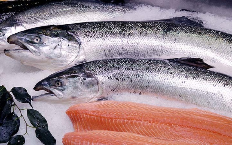 Aquaculture en Namibie