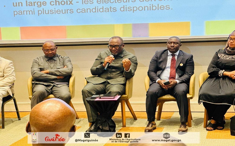 Gestion transhumance Conakry