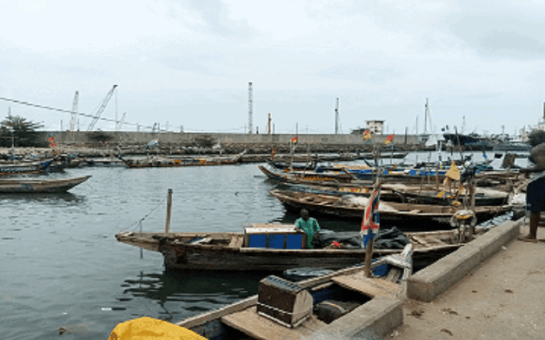 Pêche illicite Bénin