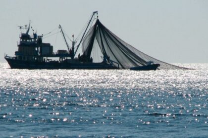 Pêche illicite Madagascar