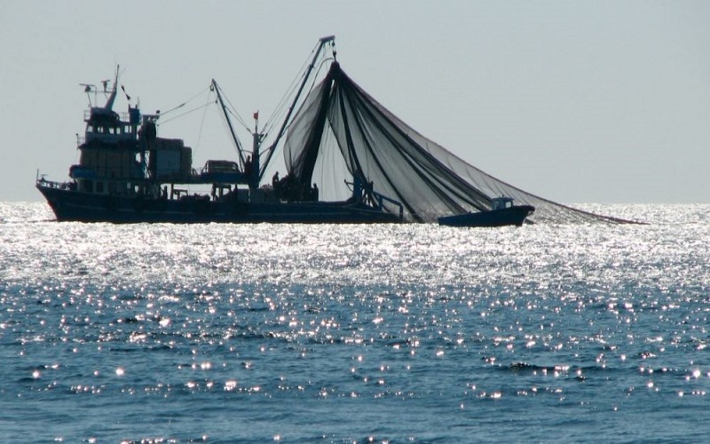 Pêche illicite Madagascar