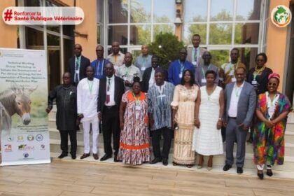 Protection du bétail