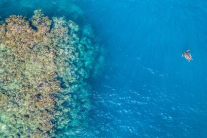 L’Afrique du sud abrite un 3e atelier sur l'importance de la pêche, de l'aquaculture et de l'économie bleue