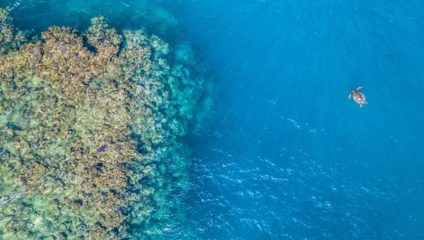 L’Afrique du sud abrite un 3e atelier sur l'importance de la pêche, de l'aquaculture et de l'économie bleue