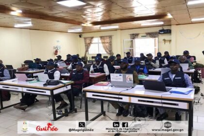 Des vétérinaires guinéens, ont récemment participé à un atelier de renforcement de capacité. Cette activité a été organisée à l’intention de la cinquième cohorte des professionnels vétérinaires en épidémiologie de terrain appliqué