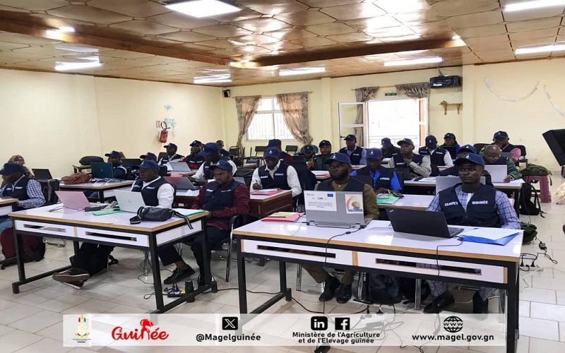 Des vétérinaires guinéens, ont récemment participé à un atelier de renforcement de capacité. Cette activité a été organisée à l’intention de la cinquième cohorte des professionnels vétérinaires en épidémiologie de terrain appliqué