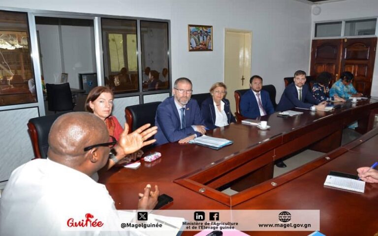 Une réunion de concertation s’est tenue entre les cadres du Ministère de l’Agriculture et de l’Elevage (MAGEL) et une délégation allemande conduite par l’Ambassadrice de la République Fédérale d’Allemagne en Guinée.