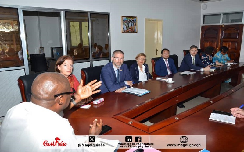 Une réunion de concertation s’est tenue entre les cadres du Ministère de l’Agriculture et de l’Elevage (MAGEL) et une délégation allemande conduite par l’Ambassadrice de la République Fédérale d’Allemagne en Guinée.
